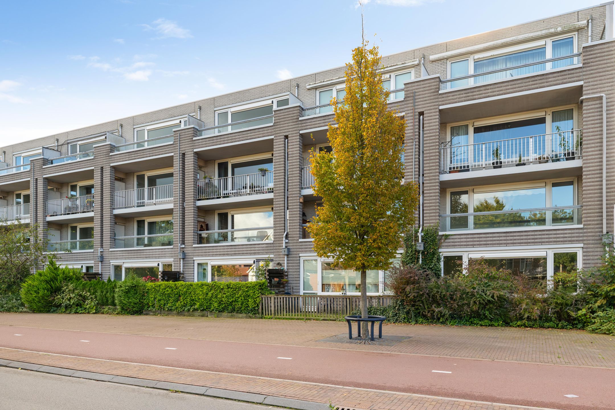 Photo 39 of Burgemeester de Dreuplein 86