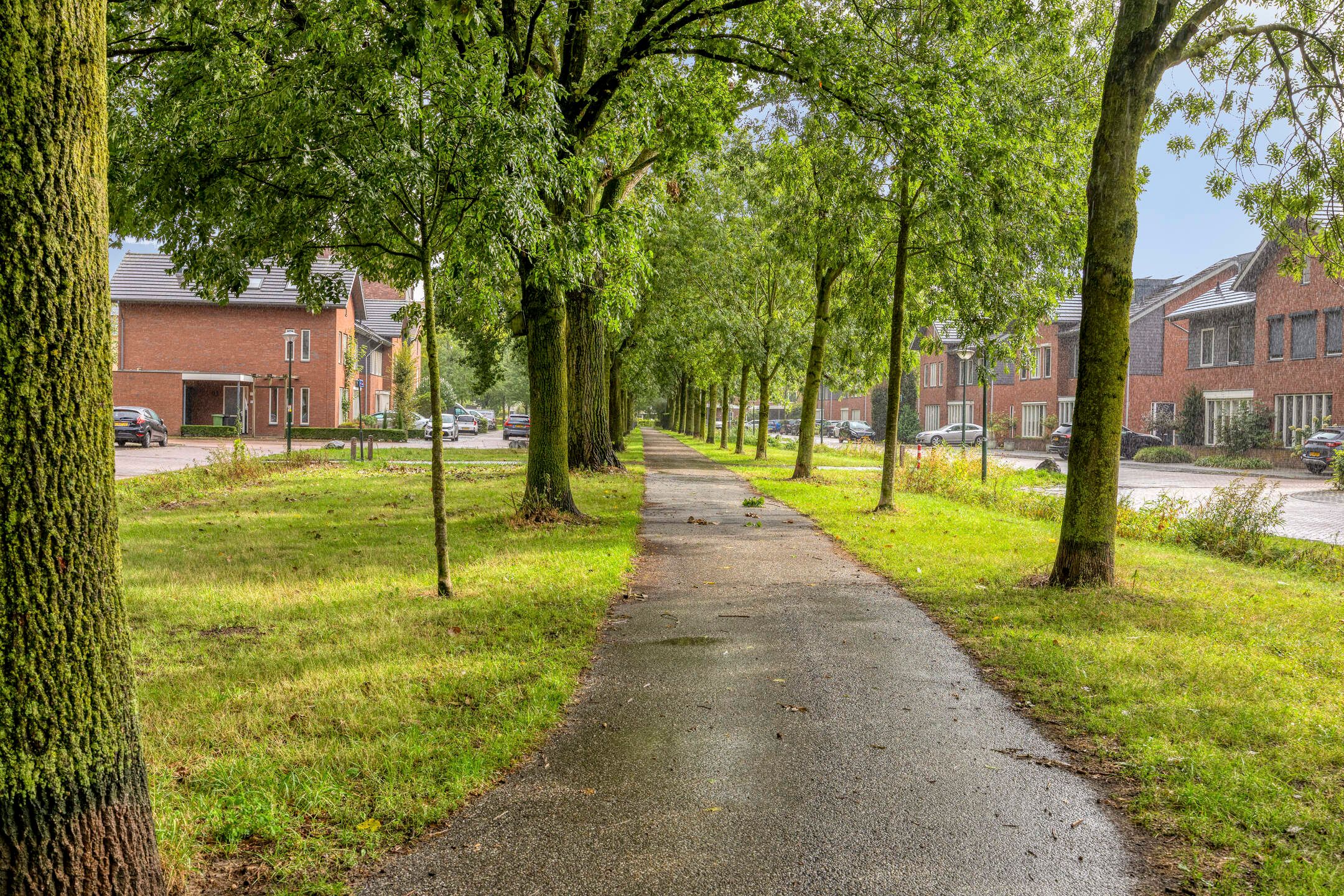 Photo 9 of Vlasven 215