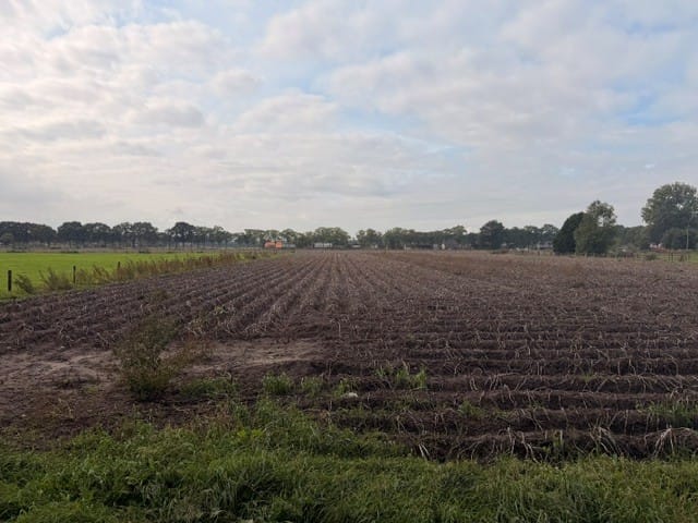 Vierhuizenweg, Oldebroek