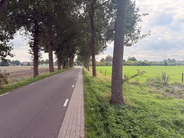 Bekijk foto 3 van Vierhuizenweg