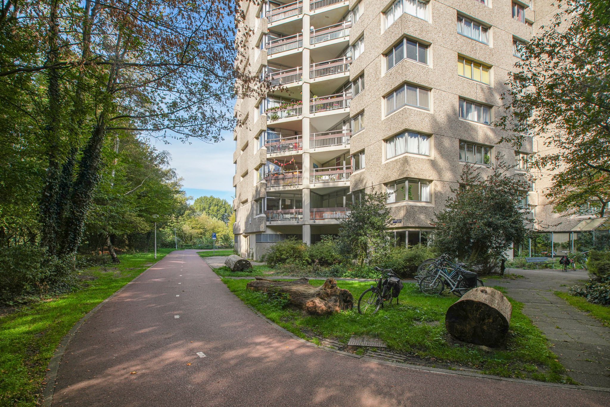 Gouden Leeuw 807 