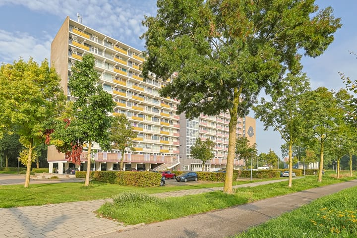 Foto 5 van Vliestroom 4