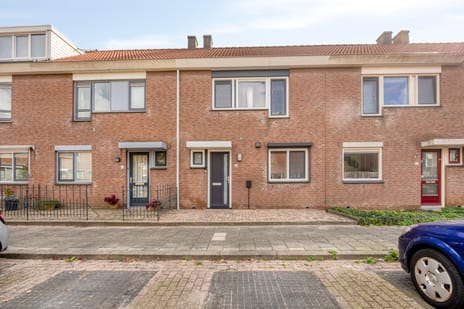 Puntmosstraat thumbnail