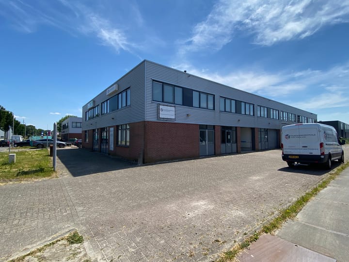 De Dolfijn 41