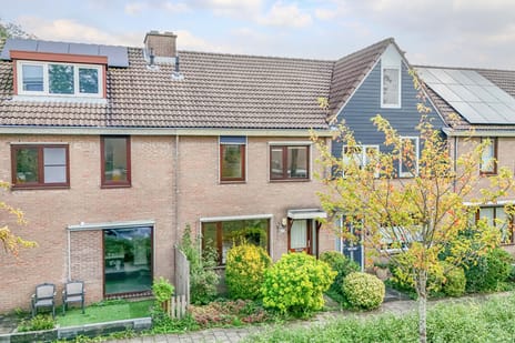 Anjerveld thumbnail