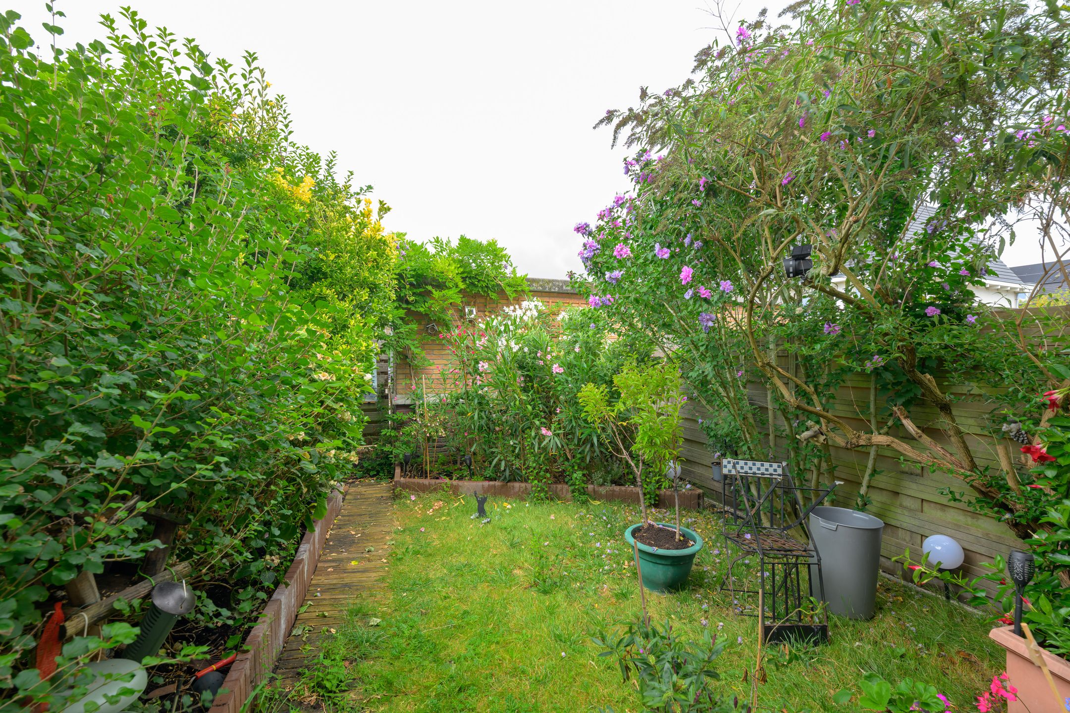 Photo 15 of Lofoten 119
