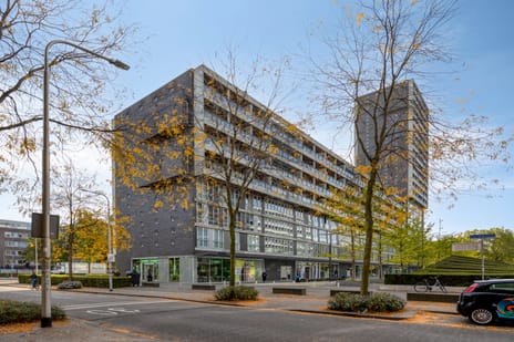 Professor de Moorplein thumbnail