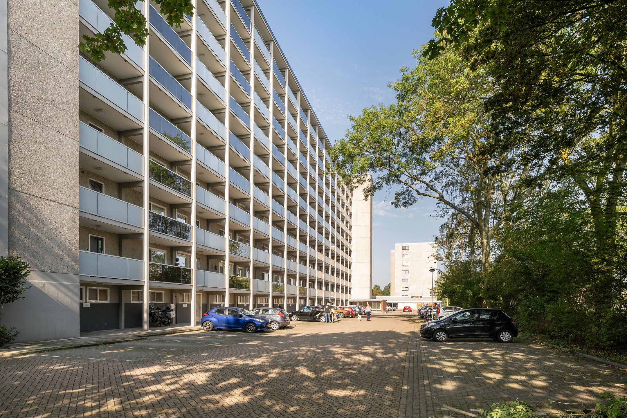 Lepelaarsingel 134 