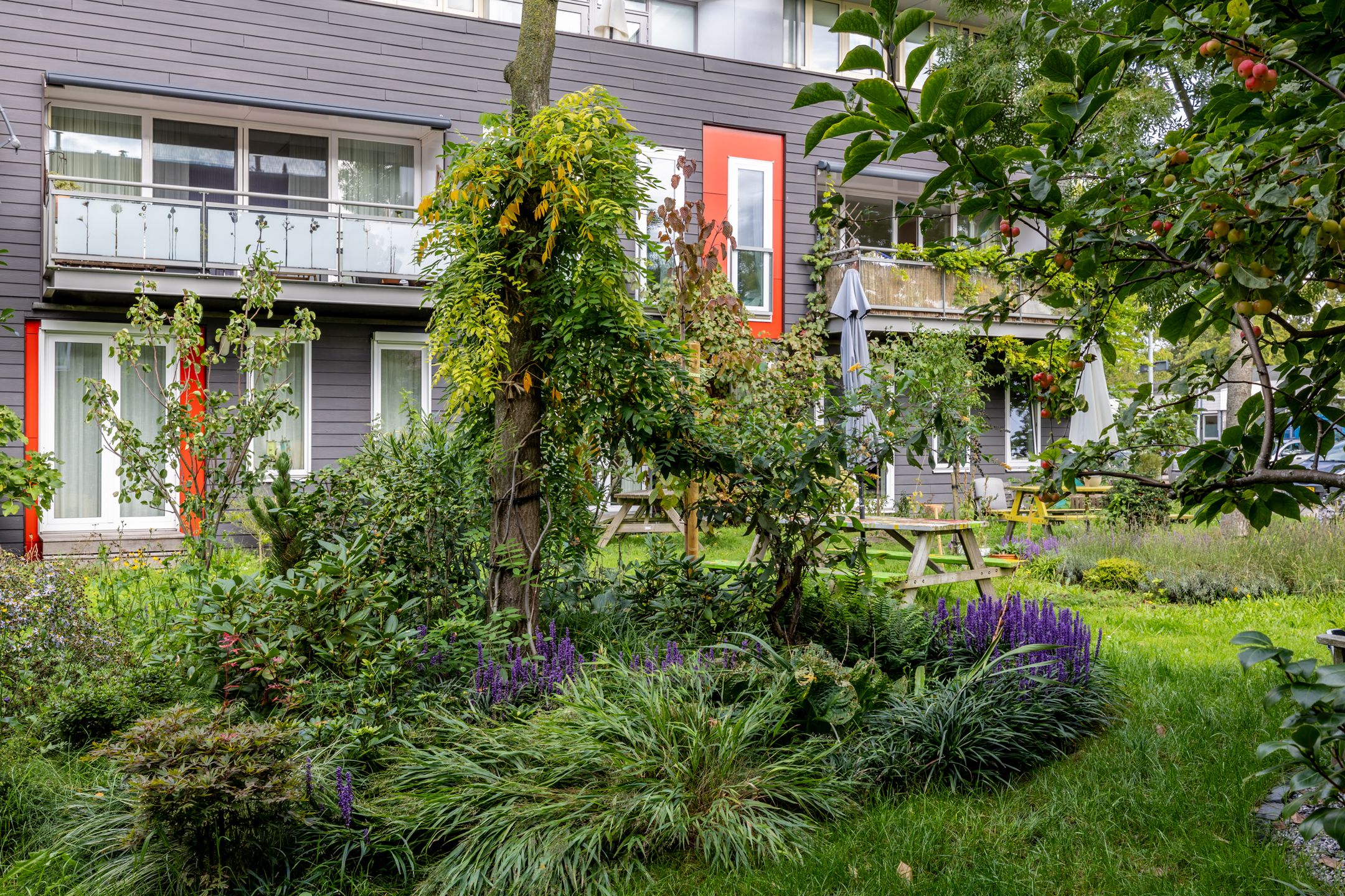 Photo 39 of Frambozenstraat 39