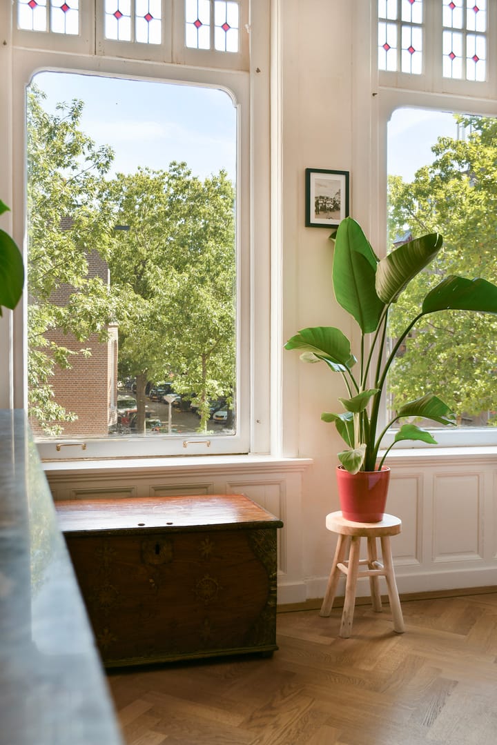 Appartement te huur: Willem Beukelsstraat 32-1, Amsterdam