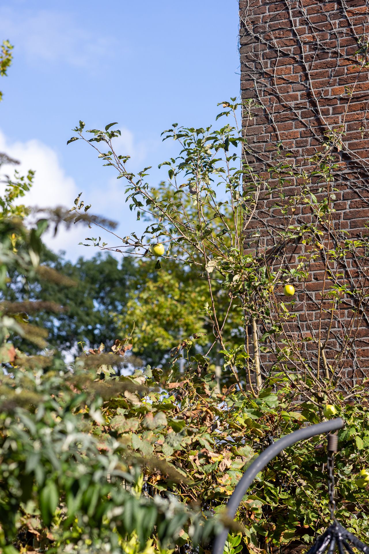Foto 45 van Vroesenlaan 1-A