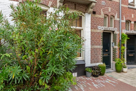 Brederodestraat thumbnail