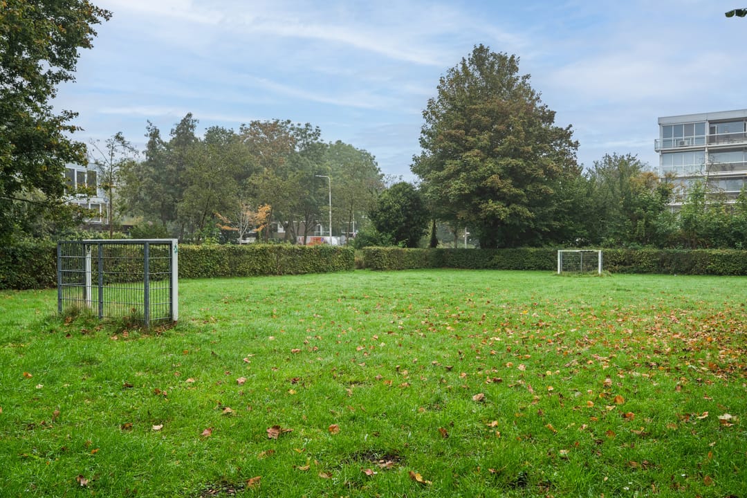Foto 41 van Parnassiaveld 115