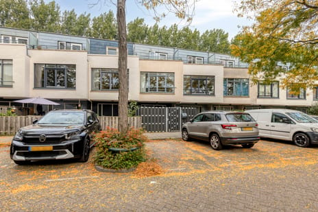 Bruinvisstraat thumbnail