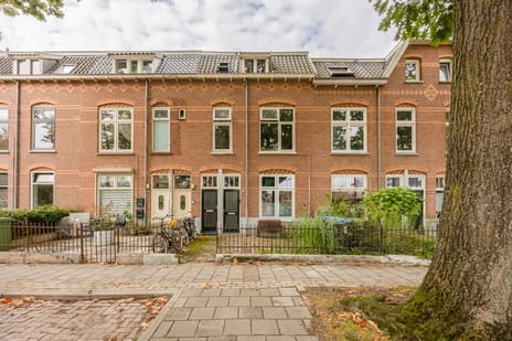 Koninginnelaan thumbnail