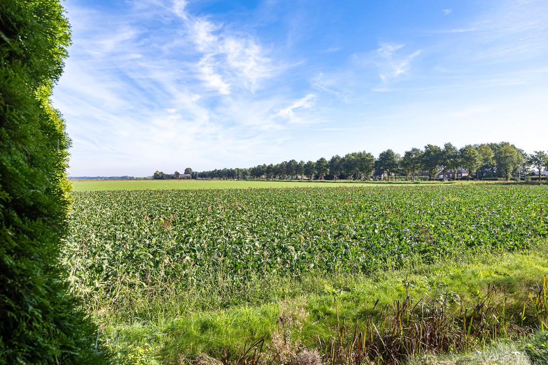 Photo 38 of Munsterseweg 62