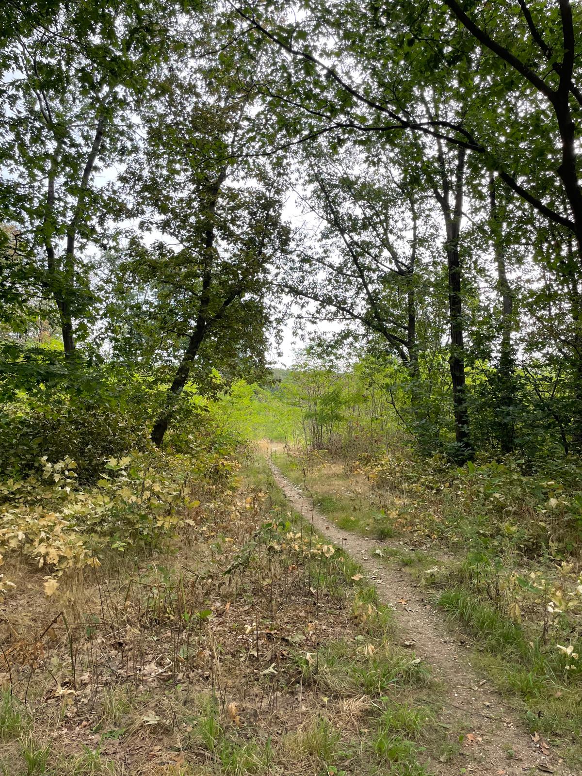 Bekijk foto 5 van Kampweg