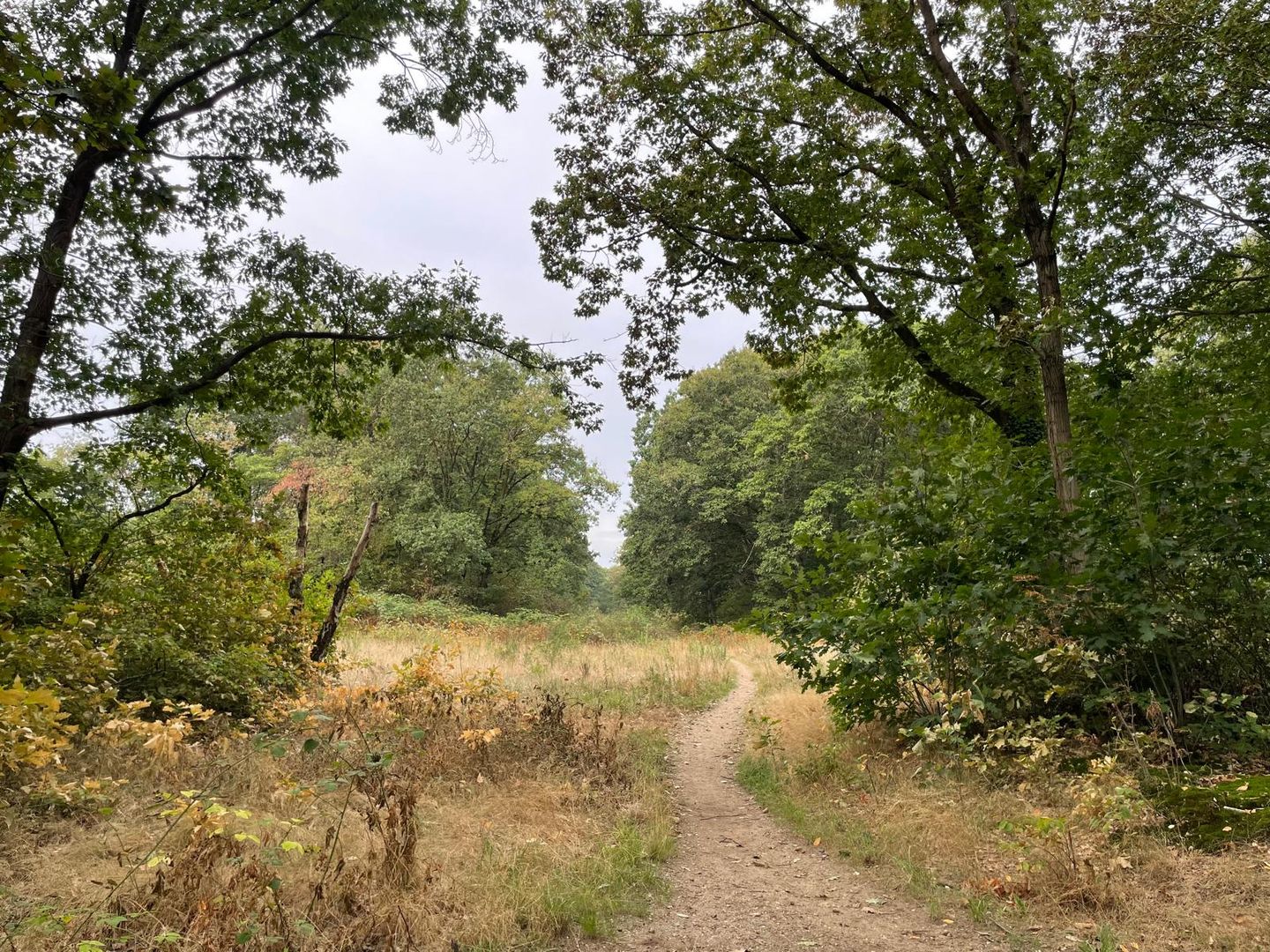 Bekijk foto 3 van Kampweg