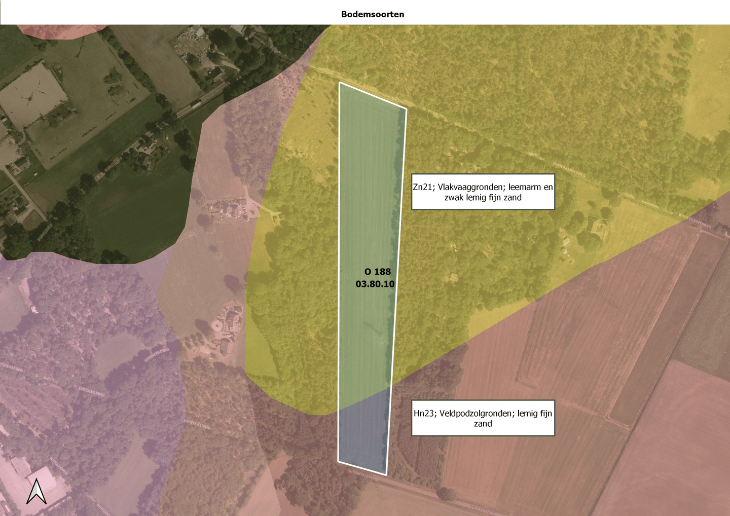 Winterkamperweg - Markelo - Afbeelding 4