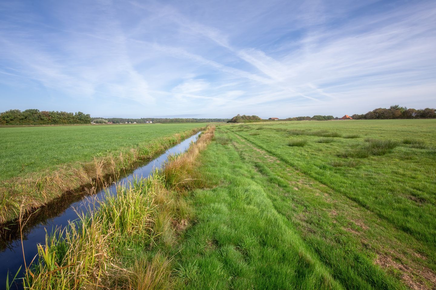 Westerweg - Den Hoorn (NH) - Afbeelding 6