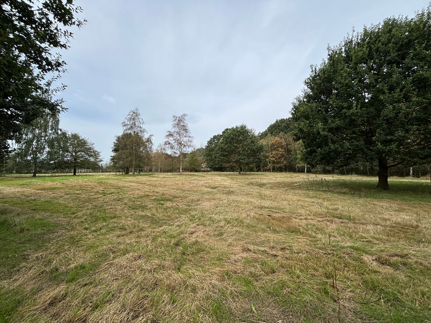 Bekijk foto 4 van Deense Hoek