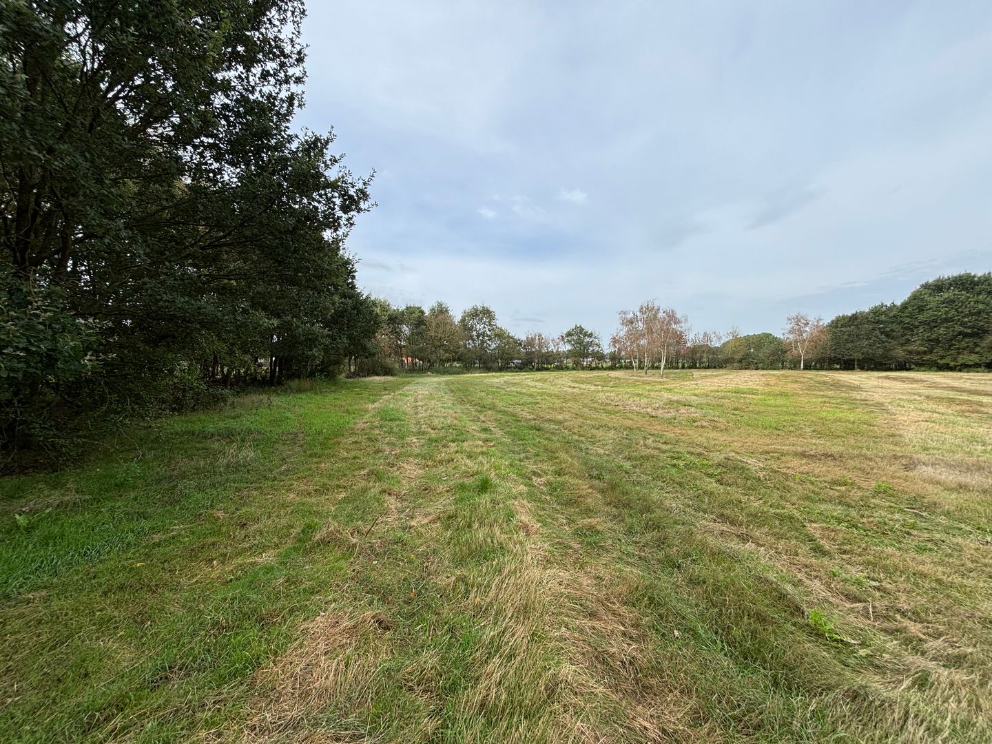 Deense Hoek - Lieshout - Afbeelding 7
