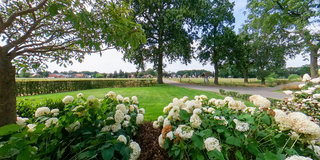 View 360° photos