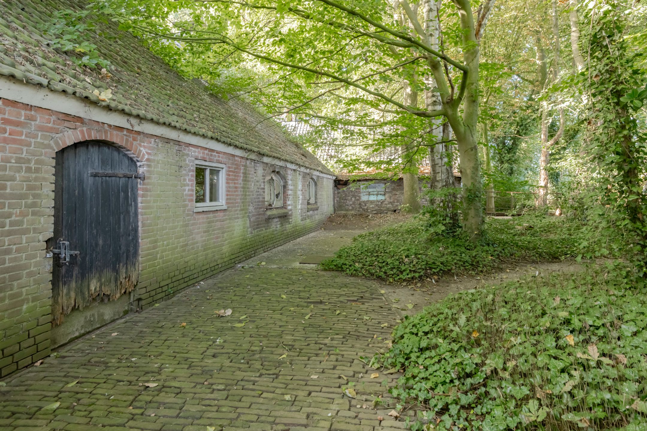 Photo 60 of Nederwoudseweg 70