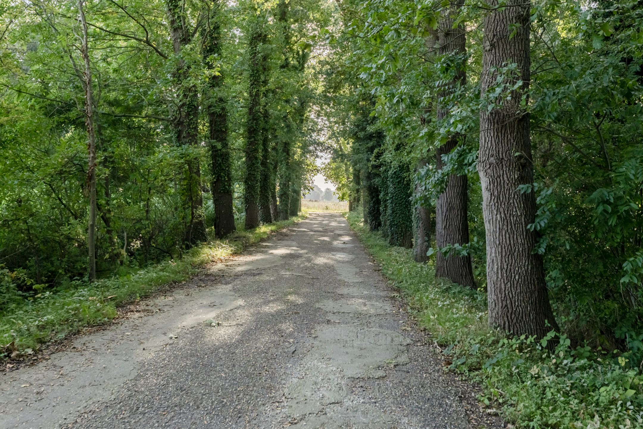Photo 78 of Nederwoudseweg 70