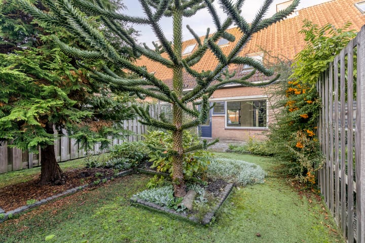 Foto 4 van Astertuin 23