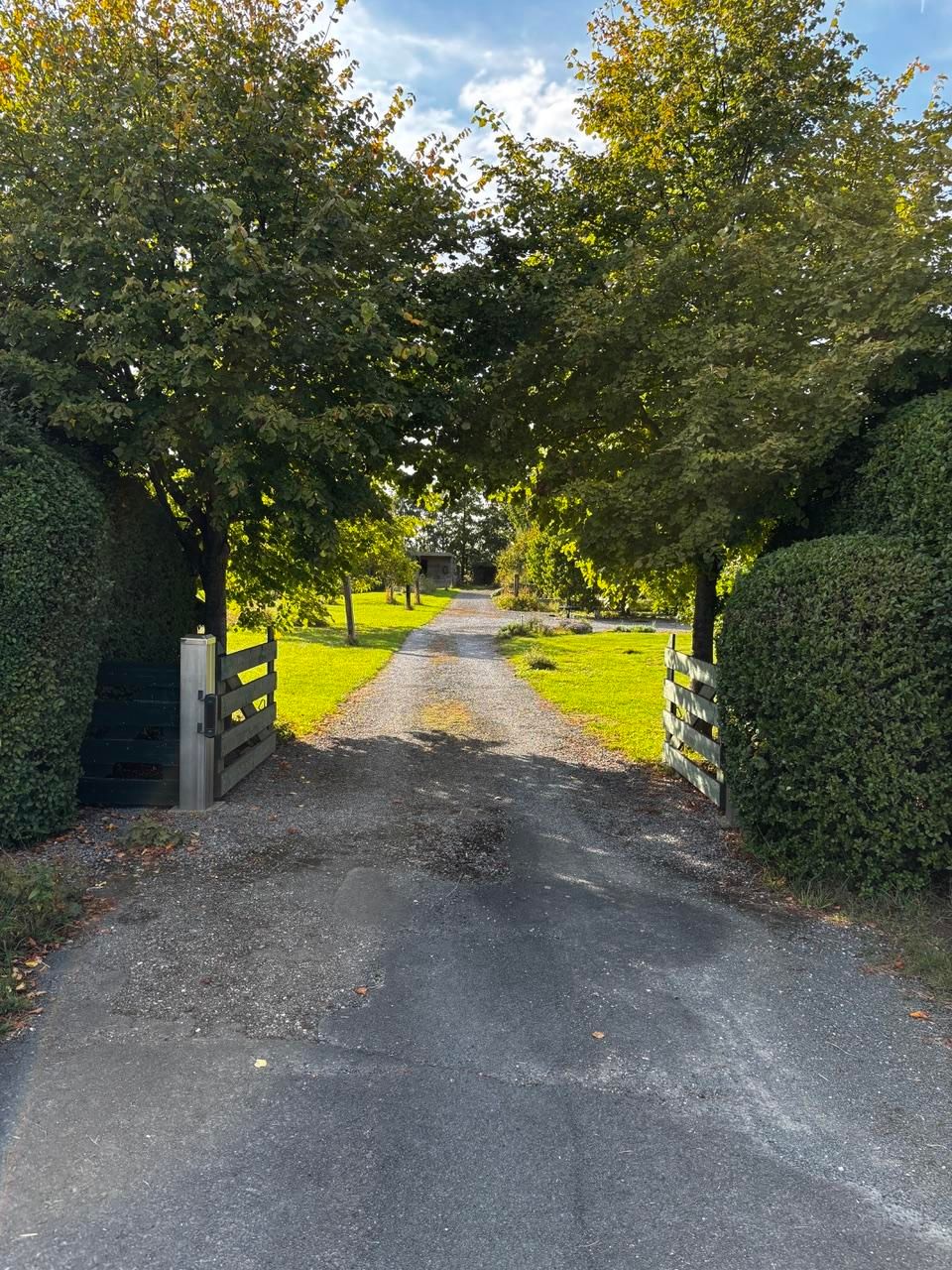 Foto 4 van Zuidlangeweg 2
