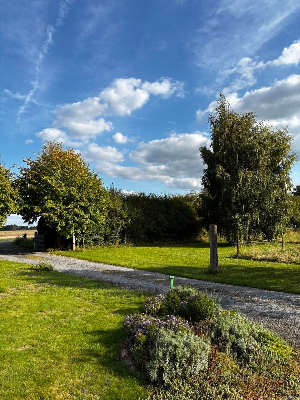 Foto 42 van Zuidlangeweg 2