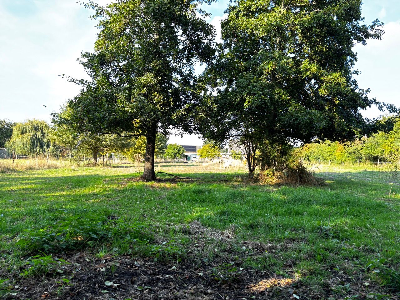 Foto 40 van Zuidlangeweg 2