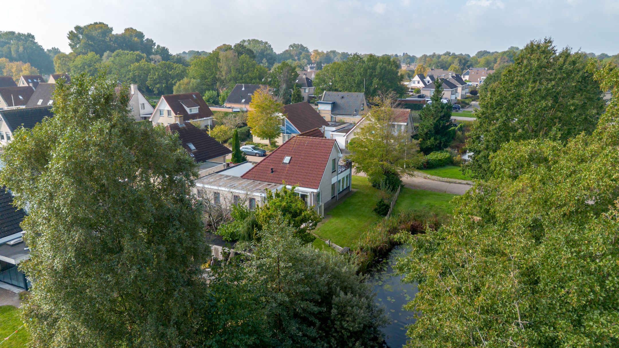 Photo 3 of Roggeblom 1
