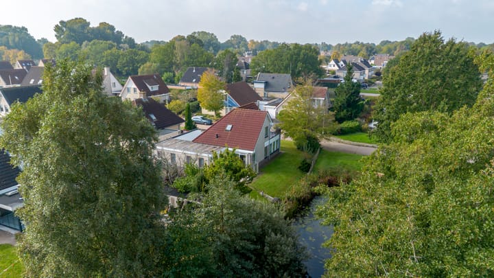 Photo 3 of Roggeblom 1