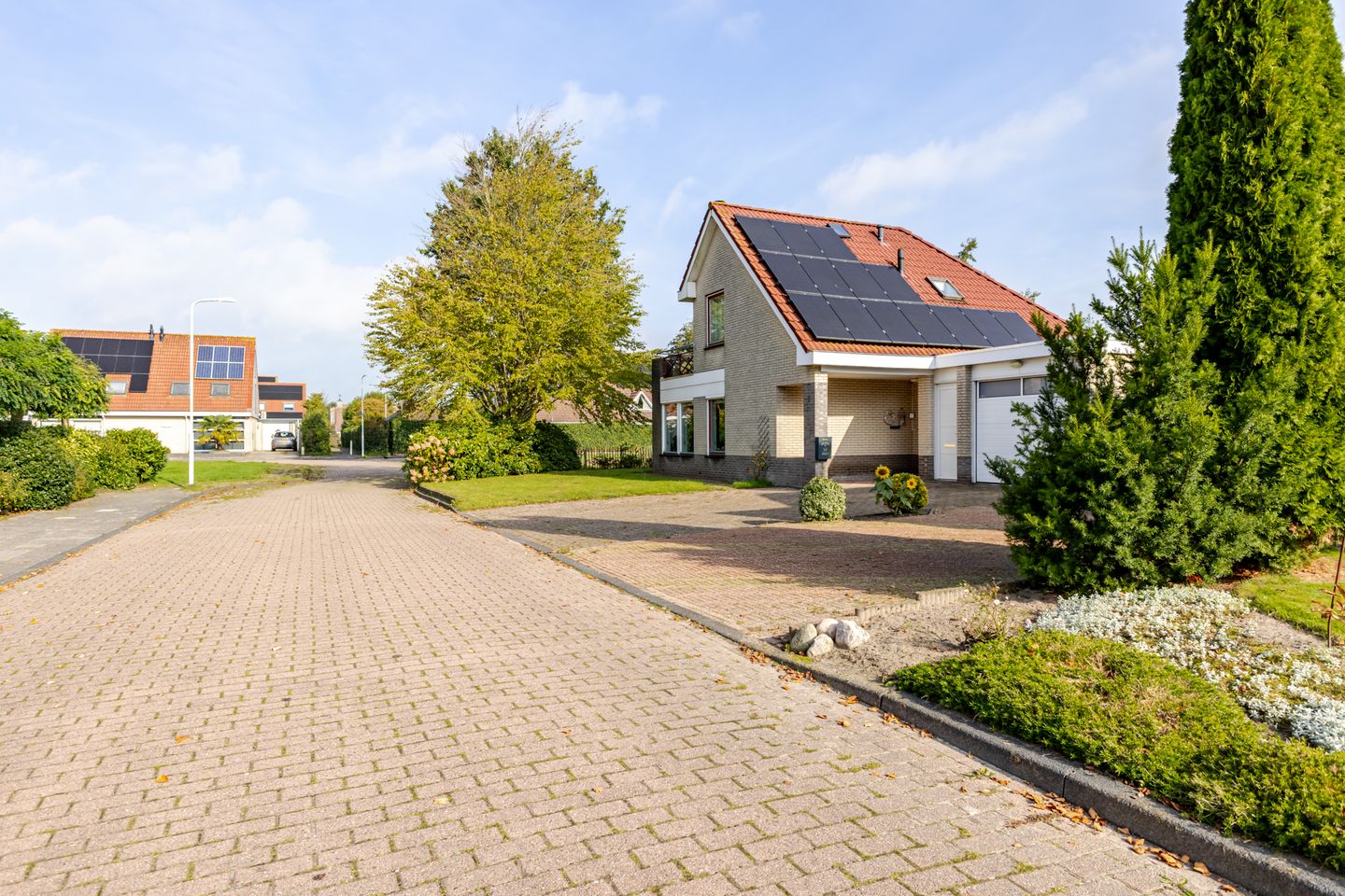 Photo 5 of Roggeblom 1