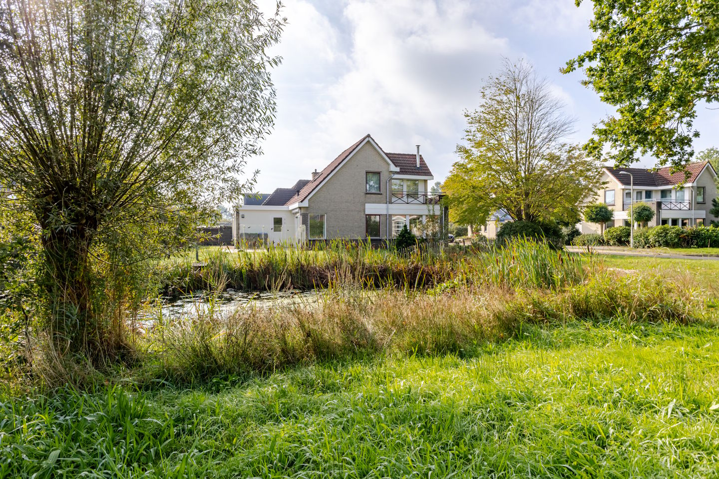 Photo 4 of Roggeblom 1