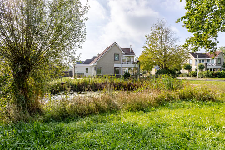 Photo 4 of Roggeblom 1
