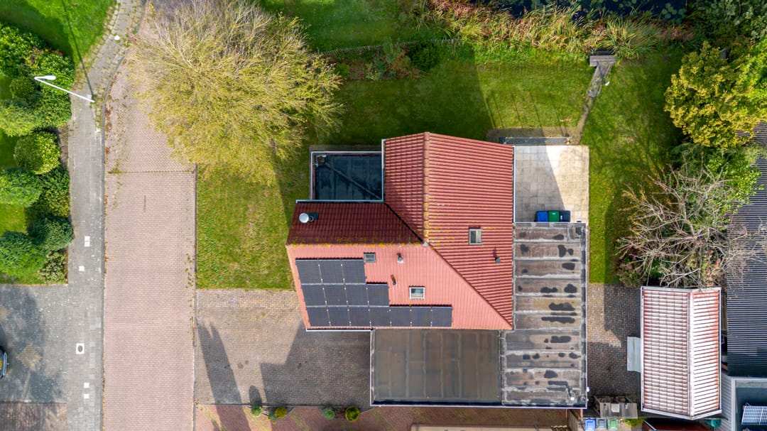 Photo 31 of Roggeblom 1