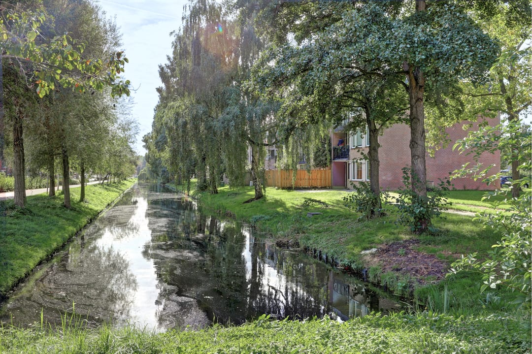 Photo 26 of Scholeksterstraat 90