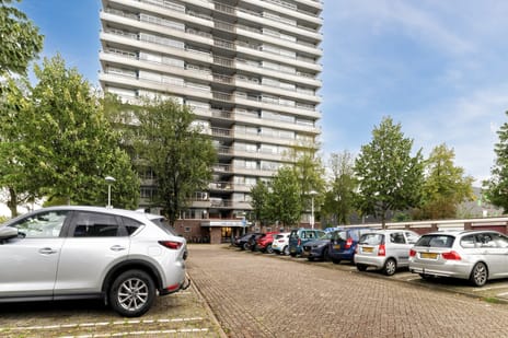 Aziëlaan thumbnail