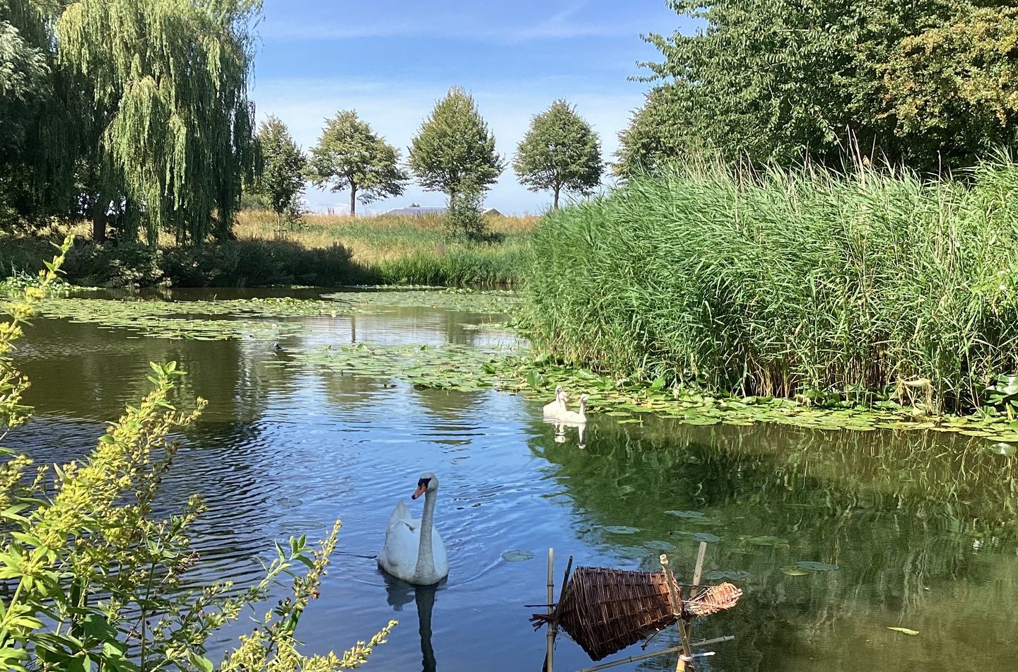 Photo 74 of Nijenburg 29
