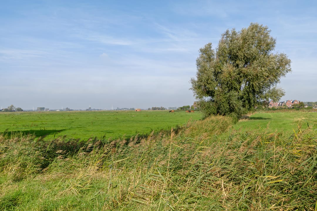 Foto 46 van Joeswerd 81