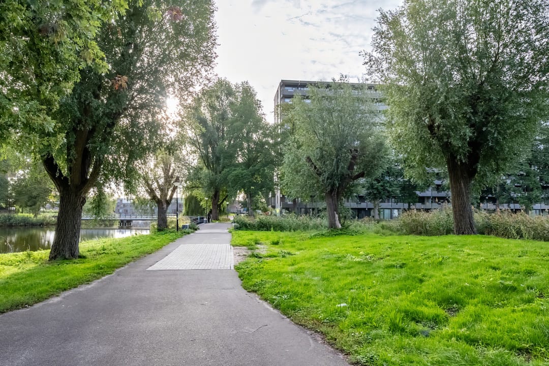 Photo 28 of Kleiburg 501