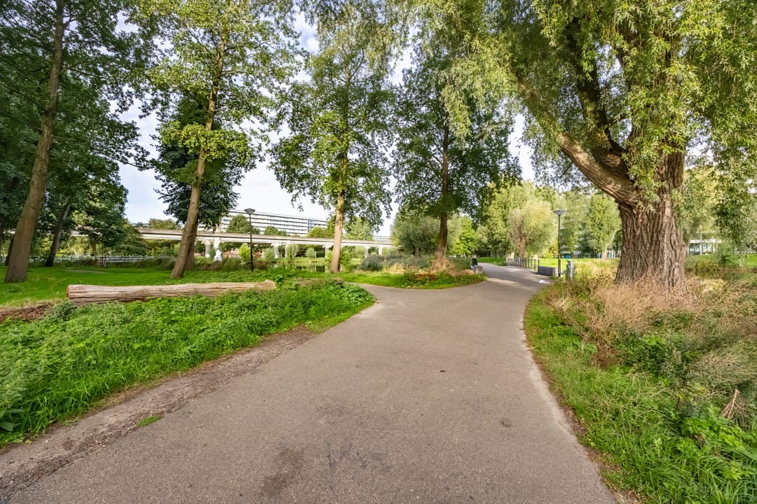 Photo 26 of Kleiburg 501