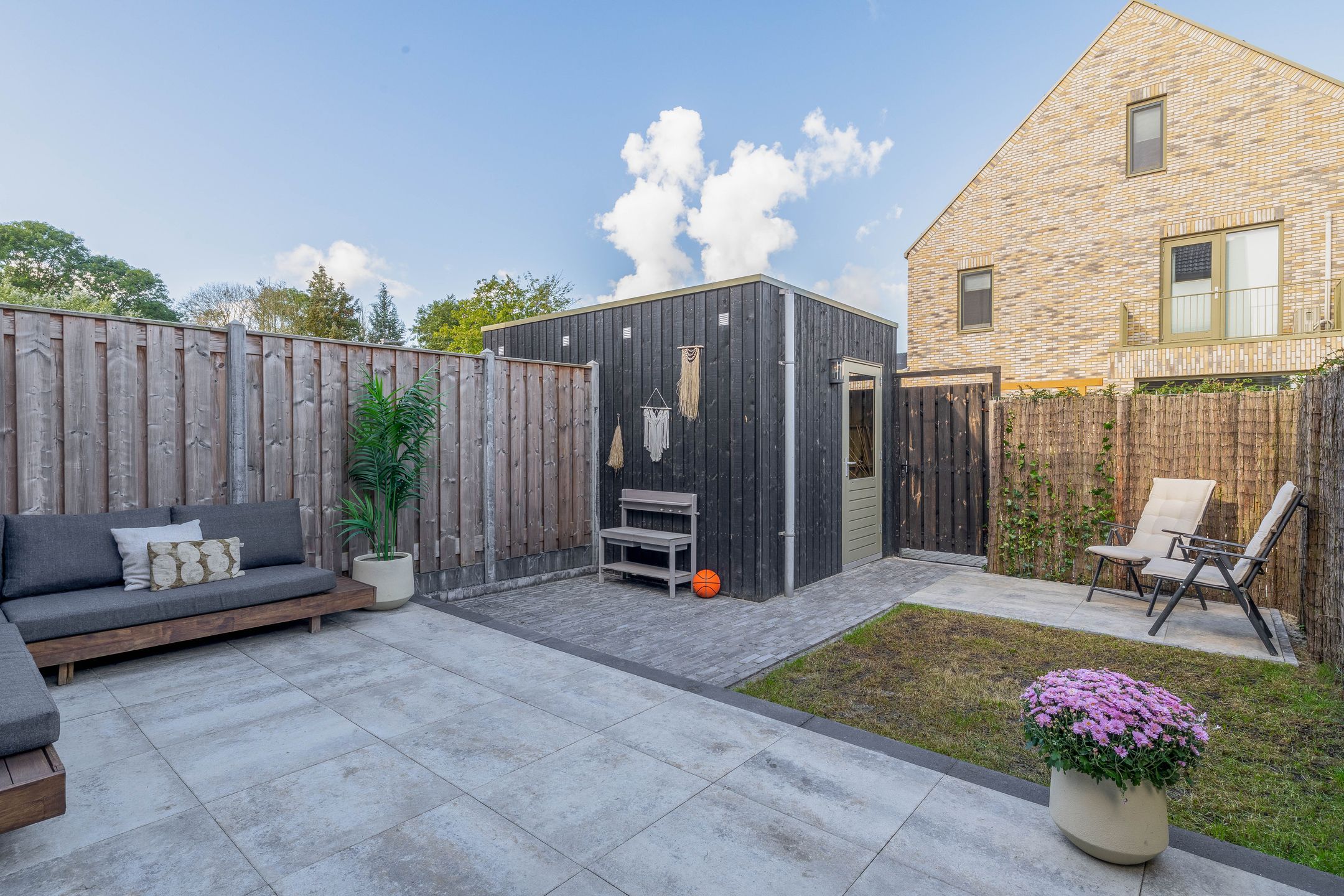Photo 15 of Pijlkruid 15