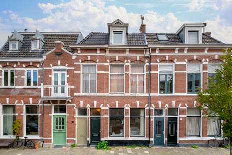 Nicolaas van der Laanstraat thumbnail