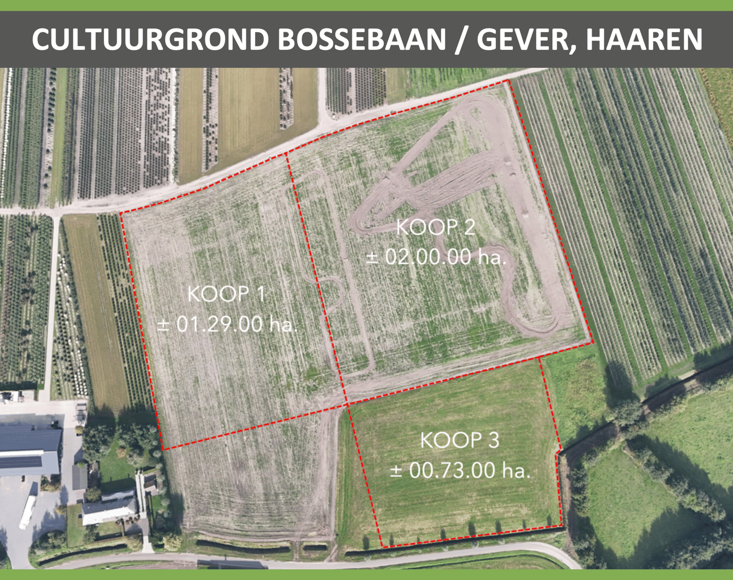 Bekijk foto 1 van Bossebaan / Gever