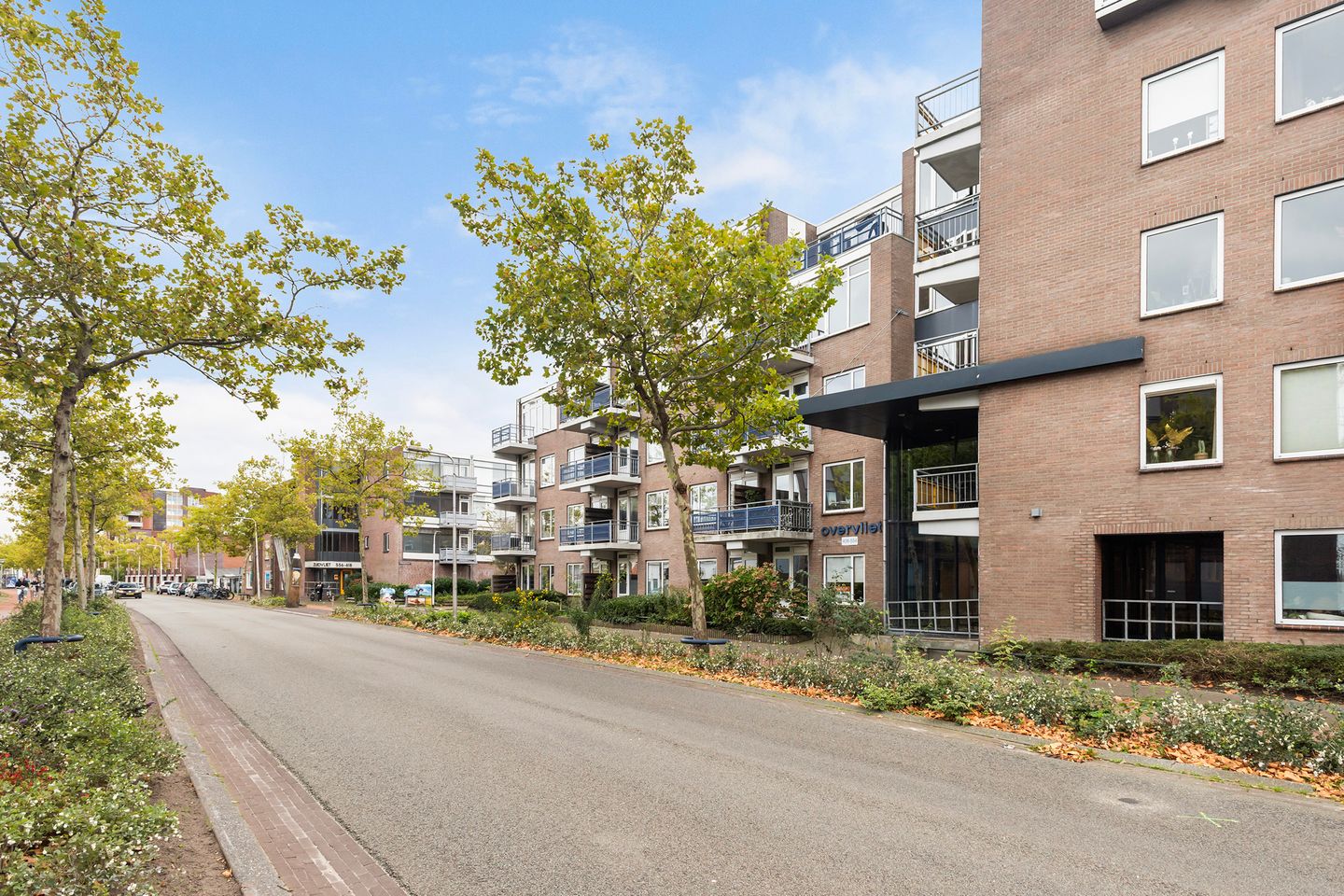 Foto 5 van Zuidvliet 462
