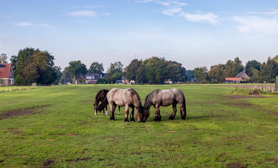 Photo 22 of Eerste Blokweg 19